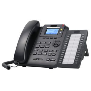 IP Phone with DDS